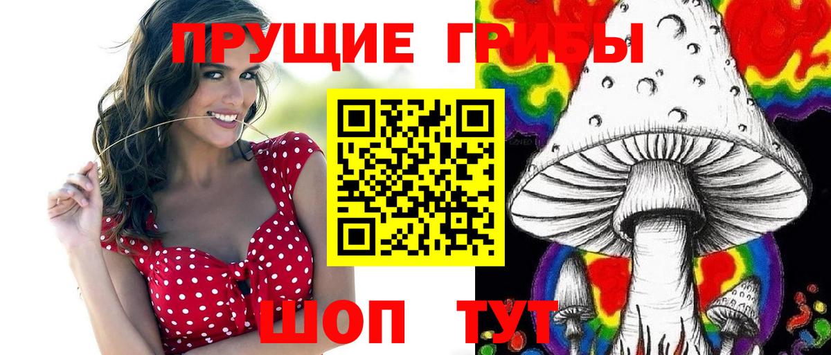 Псилоцибиновые грибы Magic Shrooms  Вход с VPN  Псилоцибиновые грибы Psilocybe  Гудермес 