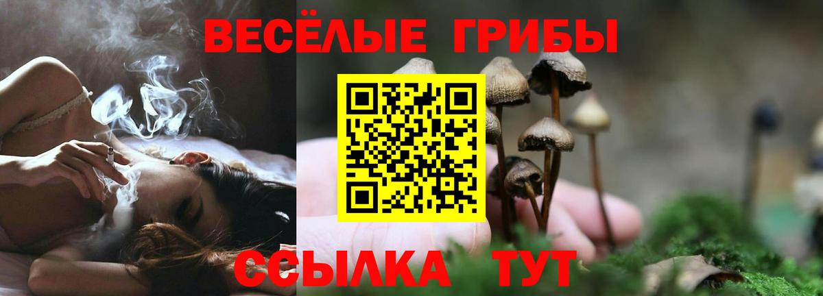 Псилоцибиновые грибы мухоморы Гудермес